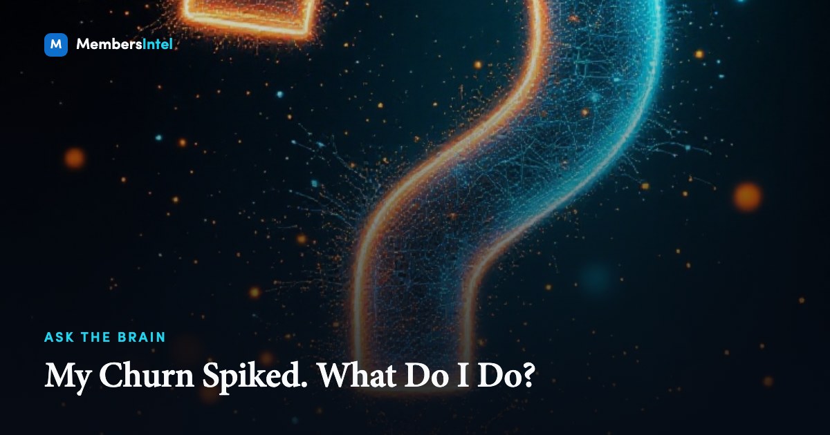 My Churn Spiked. What Do I Do?